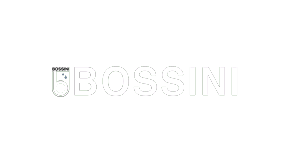 bossini